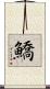 鱎 Scroll
