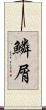 鱗屑 Scroll