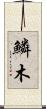 鱗木 Scroll