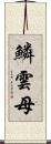 鱗雲母 Scroll