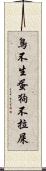 鳥不生蛋，狗不拉屎 Scroll