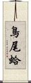 鳥尾蛤 Scroll
