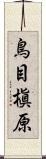 鳥目槇原 Scroll
