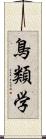 鳥類学 Scroll