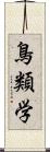 鳥類学 Scroll