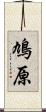 鳩原 Scroll