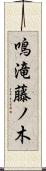 鳴滝藤ノ木 Scroll