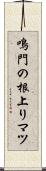 鳴門の根上りマツ Scroll