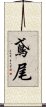 鳶尾 Scroll