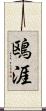 鴎涯 Scroll