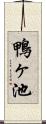 鴨ヶ池 Scroll