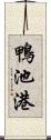 鴨池港 Scroll