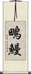 鴫鰻 Scroll