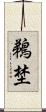 鵜埜 Scroll
