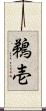 鵜壱 Scroll