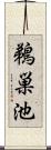 鵜巣池 Scroll