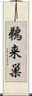 鵜来巣 Scroll