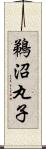 鵜沼丸子 Scroll