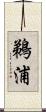 鵜浦 Scroll