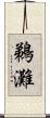 鵜灘 Scroll