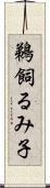 鵜飼るみ子 Scroll