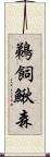 鵜飼鰍森 Scroll