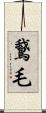 鵞毛 Scroll