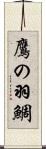 鷹の羽鯛 Scroll