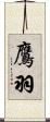 鷹羽 Scroll