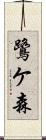 鷺ケ森 Scroll