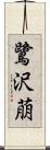 鷺沢萠 Scroll