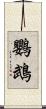 鸚鵡 Scroll