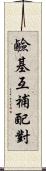 鹼基互補配對 Scroll