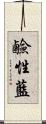 鹼性藍 Scroll