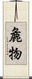 麁物 Scroll