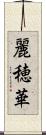 麗穂華 Scroll