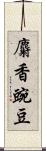 麝香豌豆 Scroll