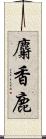 麝香鹿 Scroll