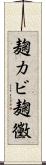 麹カビ Scroll