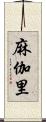 麻伽里 Scroll