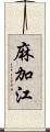 麻加江 Scroll