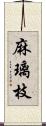 麻璃枝 Scroll