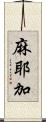 麻耶加 Scroll