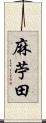 麻苧田 Scroll