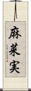 麻菜実 Scroll