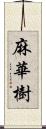 麻華樹 Scroll