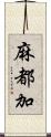 麻都加 Scroll