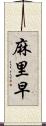 麻里早 Scroll