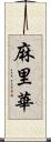 麻里華 Scroll