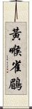 黃喉雀鶥 Scroll